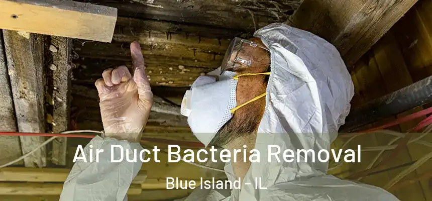 Air Duct Bacteria Removal Blue Island - IL