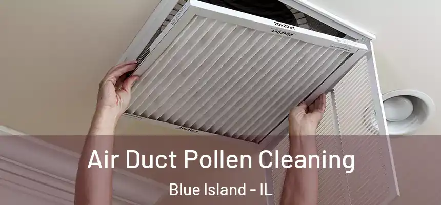 Air Duct Pollen Cleaning Blue Island - IL