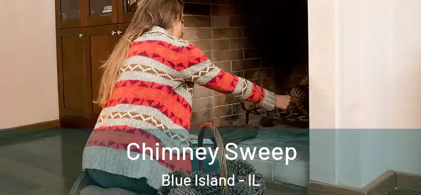 Chimney Sweep Blue Island - IL