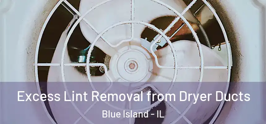 Excess Lint Removal from Dryer Ducts Blue Island - IL