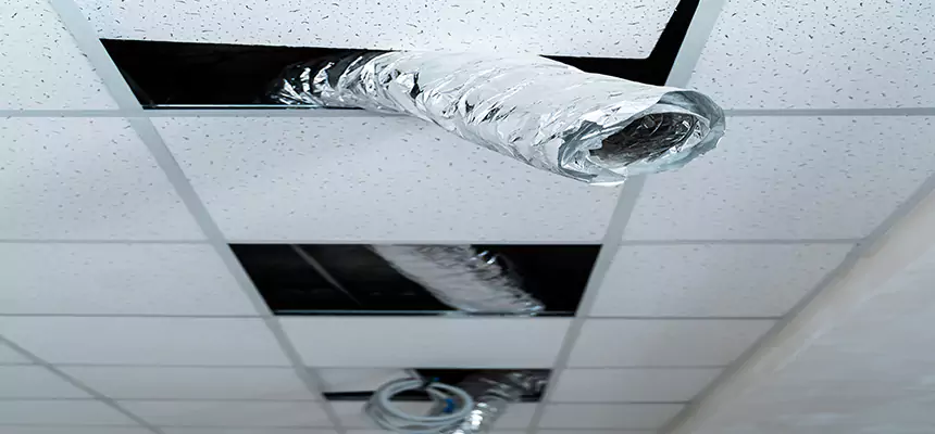 Our Air Duct Pet Hair Removal Services in Blue Island, IL