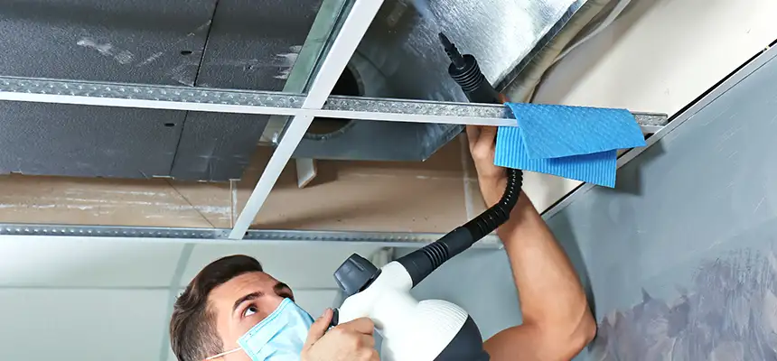 Our Air Duct Rodent Removal Services in Blue Island, IL
