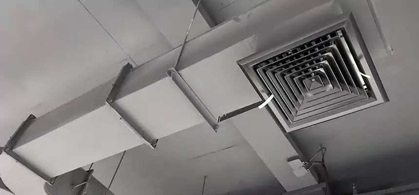 Restorative Allergy Relief Vent Cleaning – Coil, Blower & Housing Detail in Blue Island