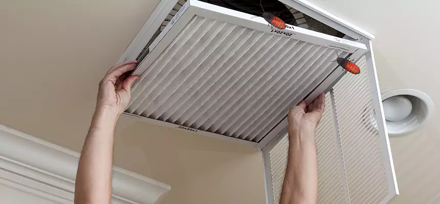 Our Insect Removal from Air Ducts Services in Blue Island, IL
