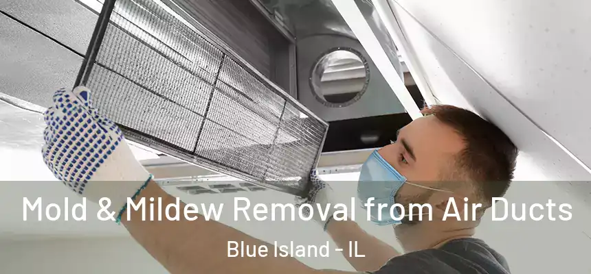 Mold & Mildew Removal from Air Ducts Blue Island - IL