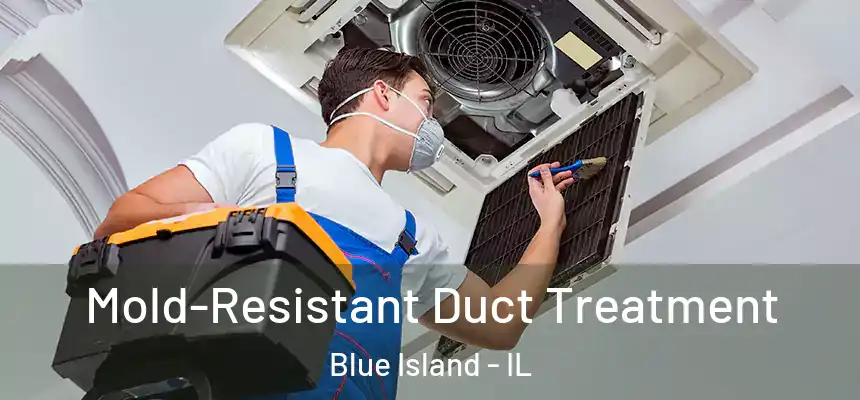  Mold-Resistant Duct Treatment Blue Island - IL