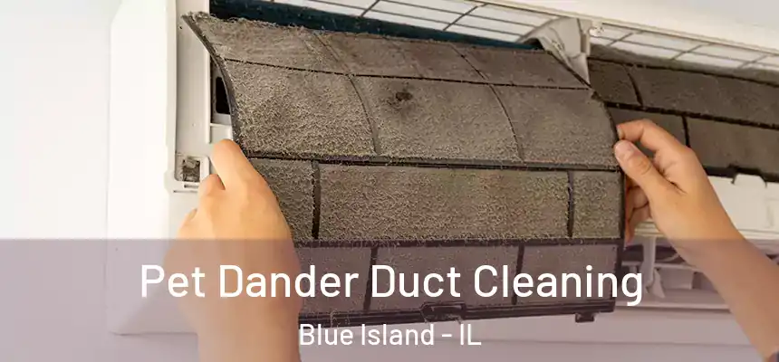 Pet Dander Duct Cleaning Blue Island - IL