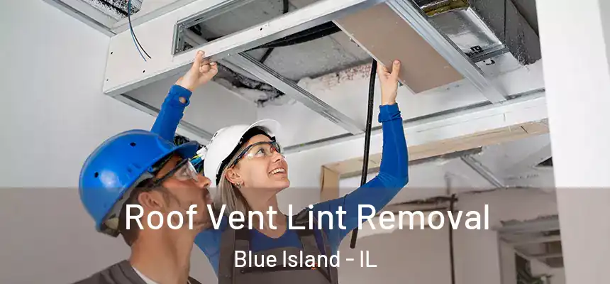 Roof Vent Lint Removal Blue Island - IL