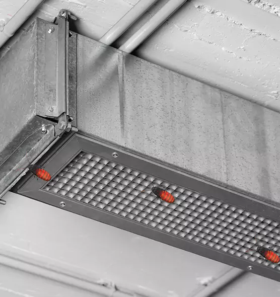 About Air Duct Cockroach Removal in Blue Island, IL