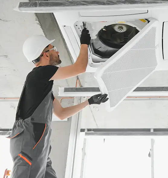 About Air Duct Rodent Removal in Blue Island, IL